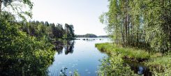 Perhon kalastuskunta tiedottaa