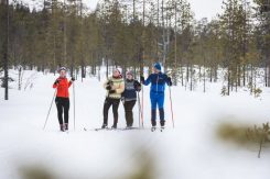 Haanenhiihto ja myös tilalle kaavailtu Perhehiihtopäivä 1.3. PERUTTU!!