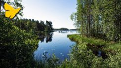 Tapahtumien Keskipohjanmaa